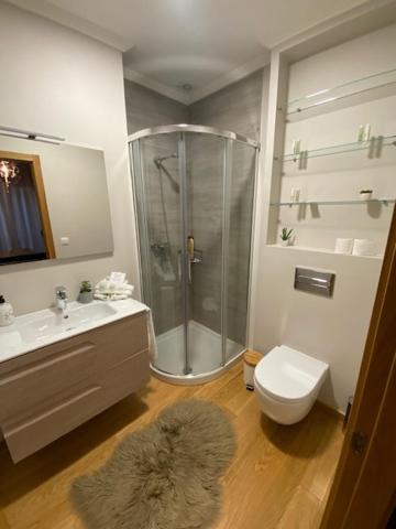 Apartamento Centro Ciudad ポンテベドラ エクステリア 写真